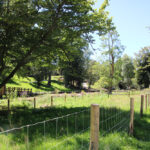 Photo : parc du Val d'Asson, Montaigu, Montaigu-Vendée