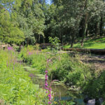 Photo : parc du Val d'Asson, Montaigu, Montaigu-Vendée