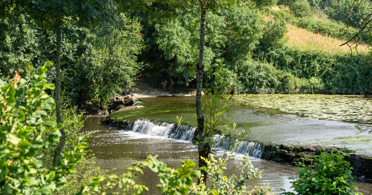 Image : Rivière - Saint-Hilaire-de-Loulay - Montaigu-Vendée