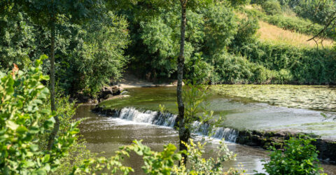 Image : Rivière - Saint-Hilaire-de-Loulay - Montaigu-Vendée