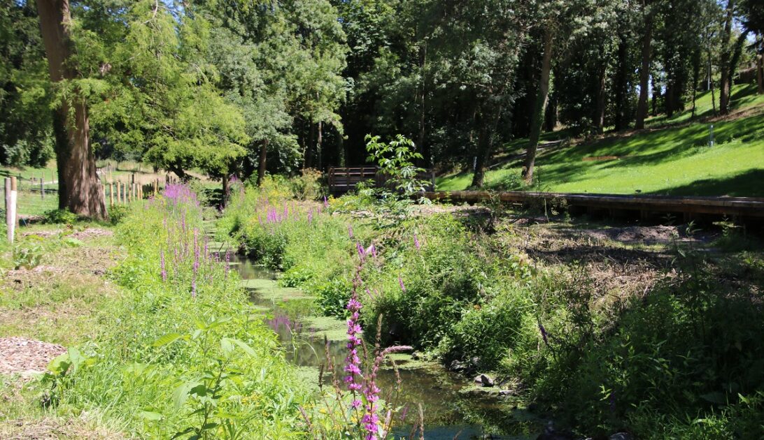 Image : parc val d'asson - Montaigu-Vendée