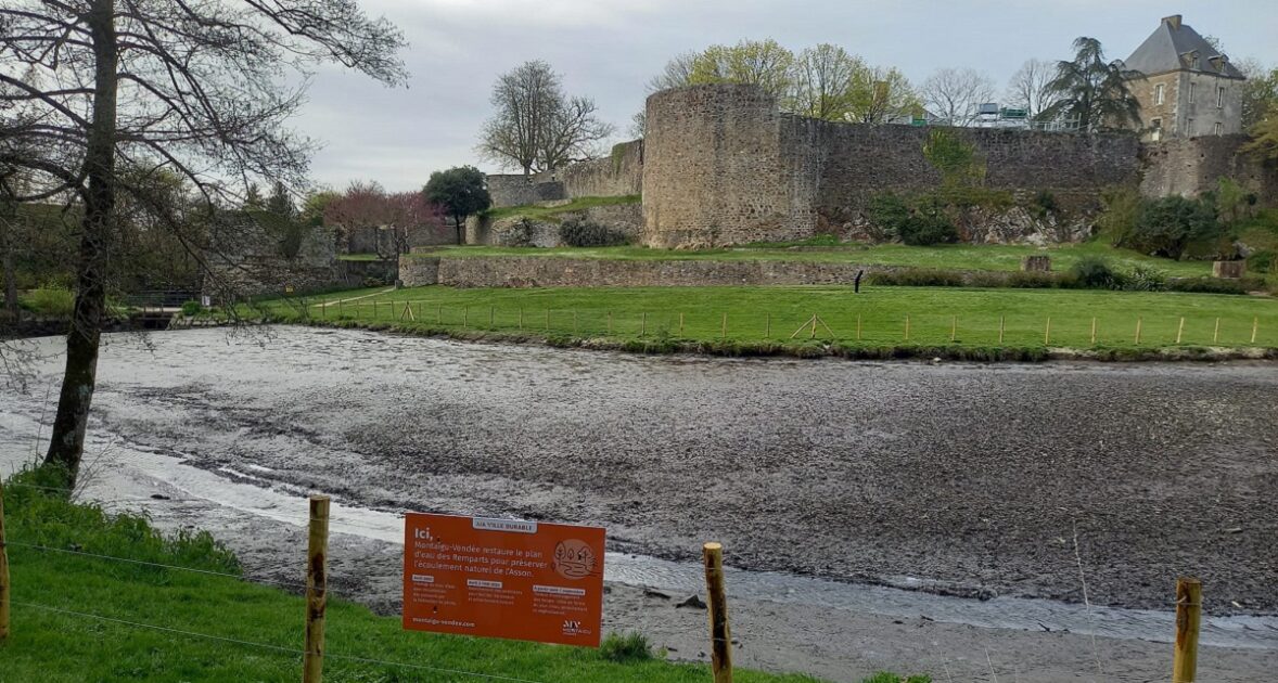 restauration plan d'eau des Remparts de Montaigu