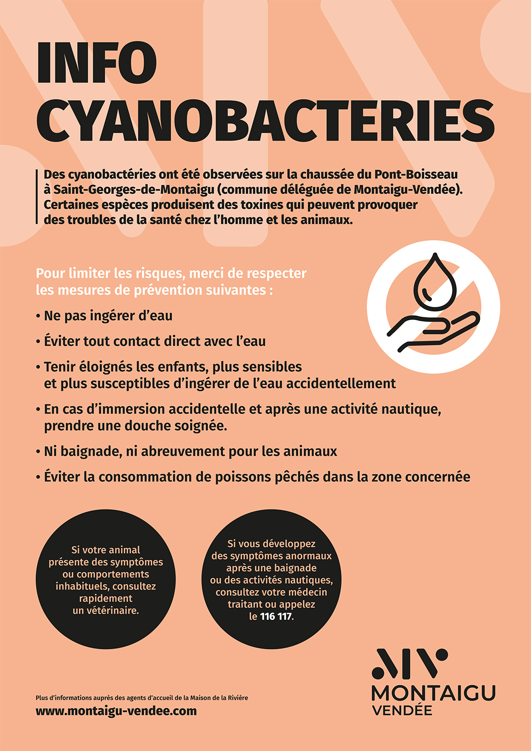 Mesures de prévention cyanobactéries, Montaigu-Vendée