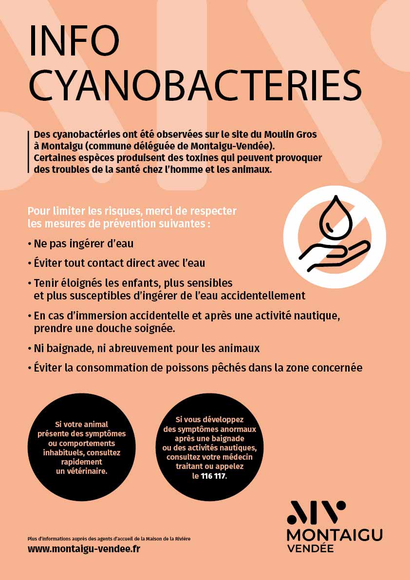 Affiche : cyano