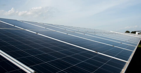 Photo d'illustration : panneaux photovoltaïques - Terres de Montaigu