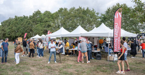 Photo : A l'Asso, fête des associations de Montaigu-Vendée 2022