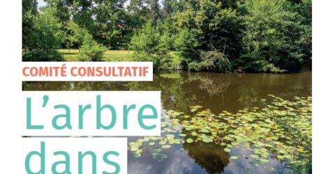 Visuel : travail du comité consultatif de Montaigu-Vendée sur l'arbre en ville - 2021